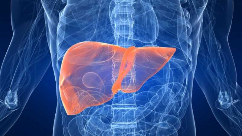 AI created to detect lung cancer can now detect liver cancer too